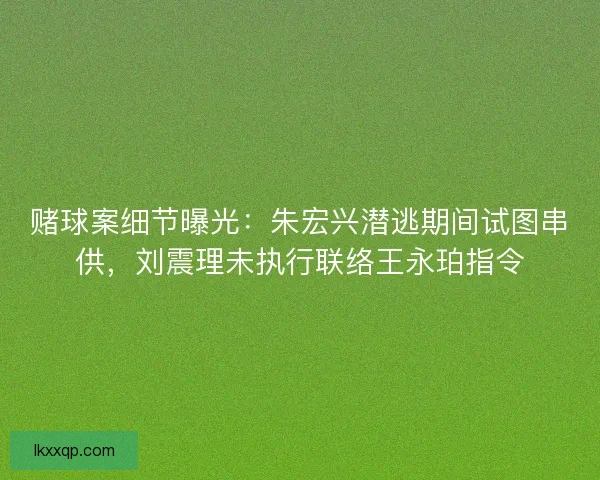 赌球案细节曝光：朱宏兴潜逃期间试图串供，刘震理未执行联络王永珀指令